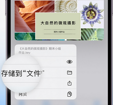 昌乐apple维修中心分享iPhone文件应用中存储和找到下载文件