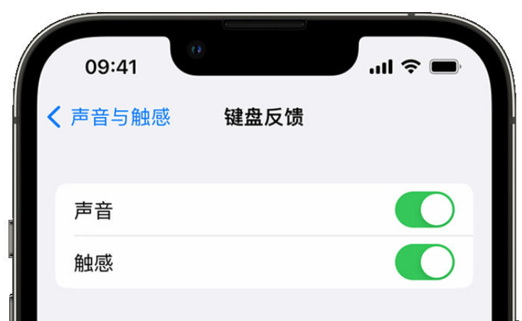 昌乐苹果手机维修分享iPhone 14触感键盘使用方法 