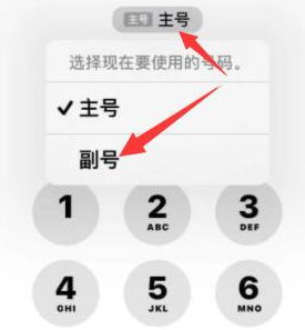 昌乐苹果14维修店分享iPhone 14 Pro Max使用副卡打电话的方法 