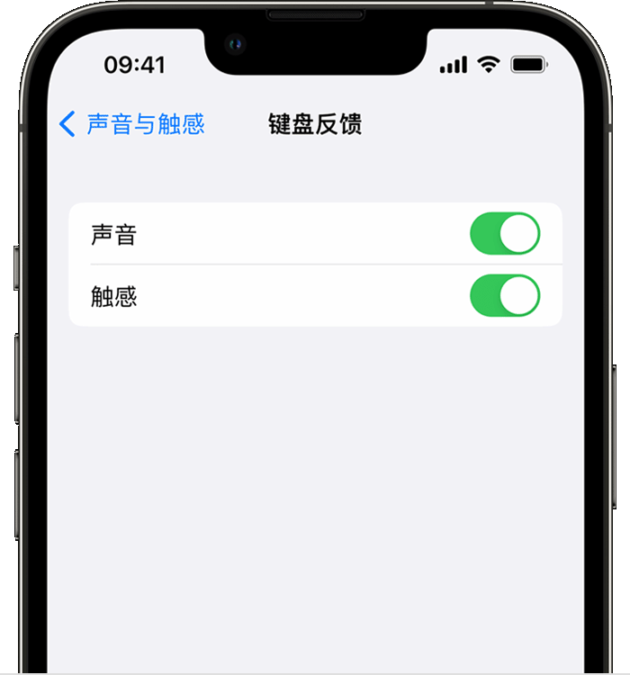 昌乐苹果14维修分享iPhone 14 系列机型如何开启键盘声音或触感反馈 