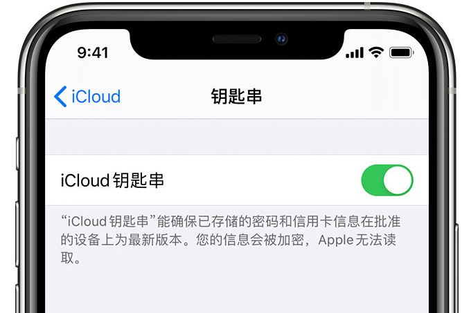 昌乐苹果手机维修分享在 iPhone 上开启 iCloud 钥匙串之后会储存哪些信息 