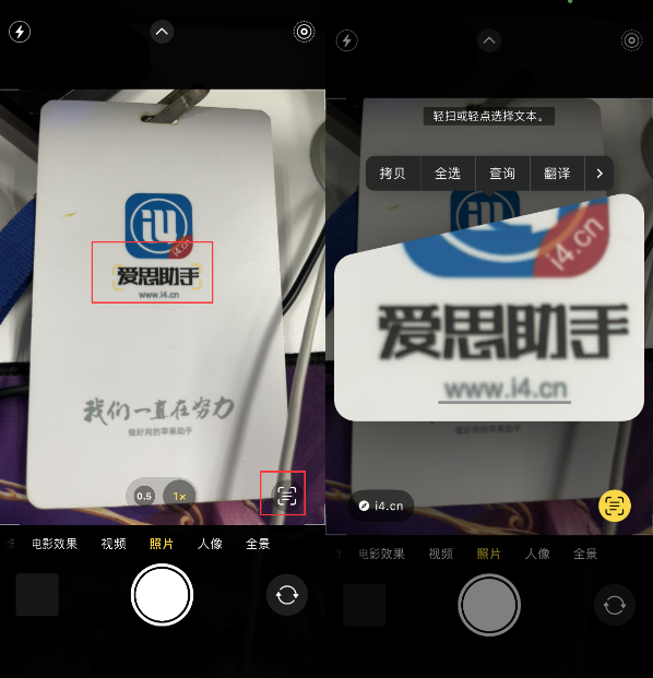 昌乐苹果手机维修分享升级iOS 16后如何通过相机翻译文本 
