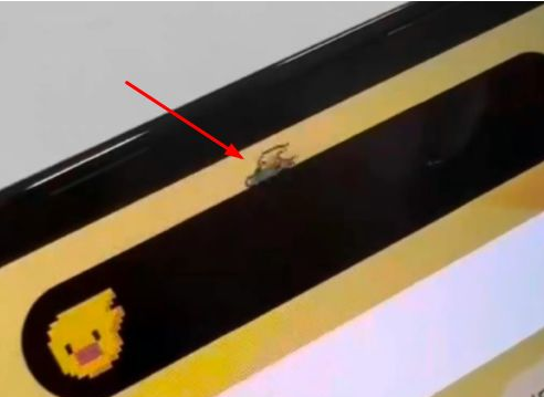 昌乐苹果14维修分享iPhone 14 Pro Max灵动岛怎么养宠物 