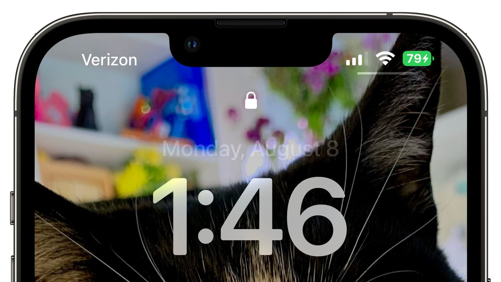 昌乐苹果手机维修分享iOS 16 beta 5 支持状态栏显示电池百分比，如何开启？支持哪些机型 