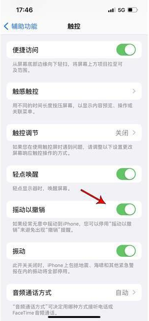 昌乐苹果手机维修分享iPhone手机如何设置摇一摇删除文字 