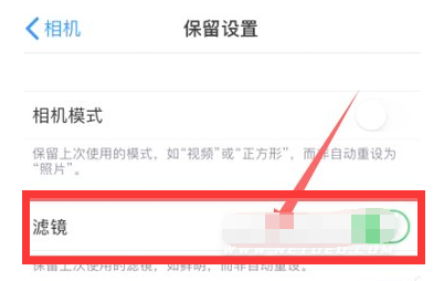 昌乐苹果13维修分享iPhone13拍照有绿点是怎么回事 