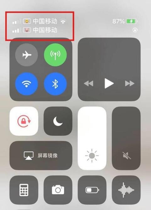 昌乐苹果手机维修分享为 iPhone 12 双卡设置标签 